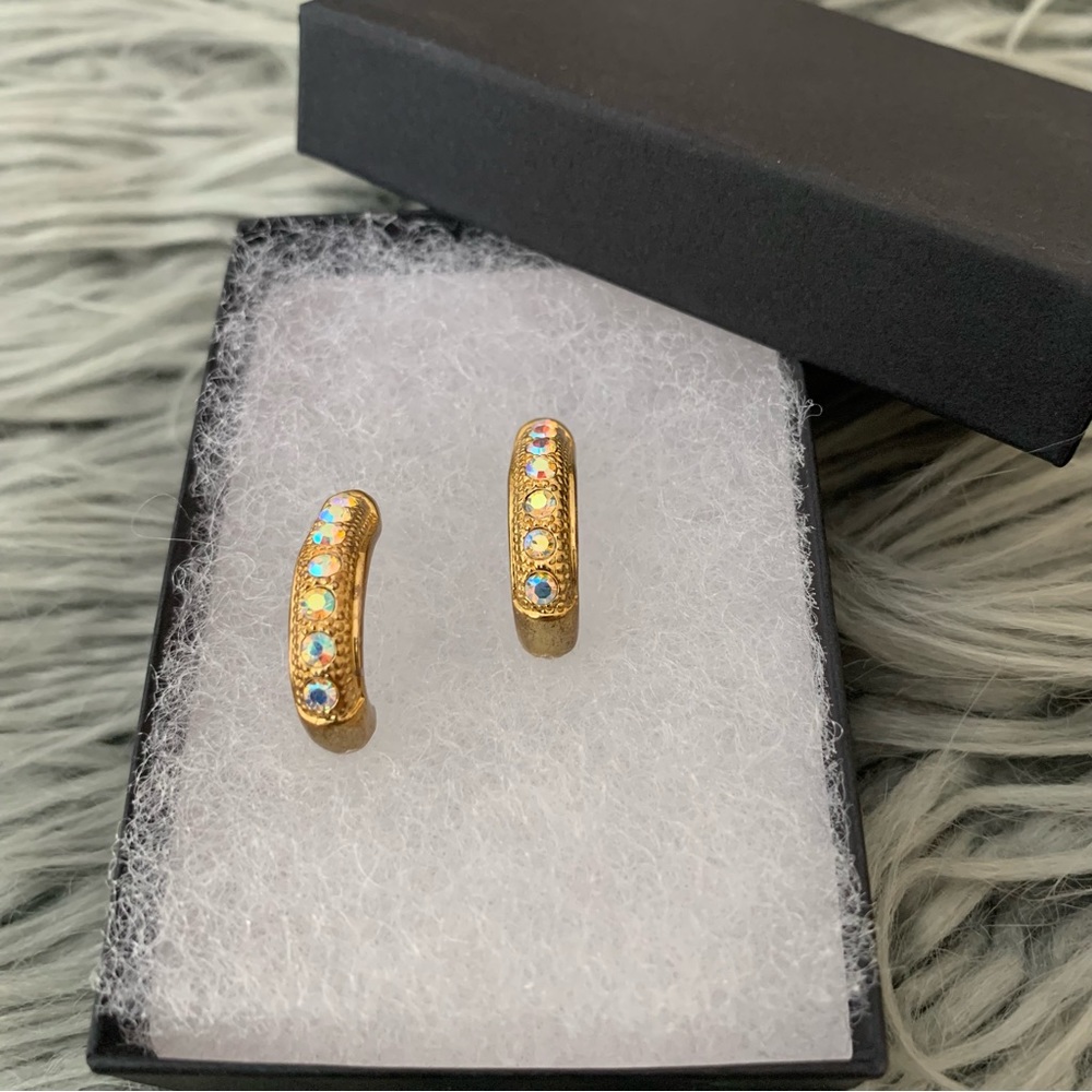 Vintage Earrings Aurora Borealis